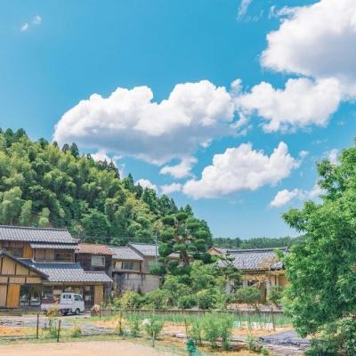 王国新大陆冬季版本下载